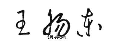 駱恆光王腸東草書個性簽名怎么寫