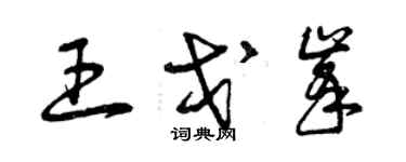 曾慶福王戈峰草書個性簽名怎么寫