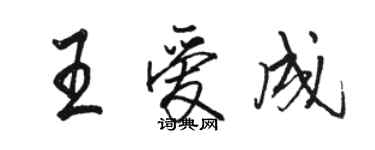 駱恆光王愛成行書個性簽名怎么寫