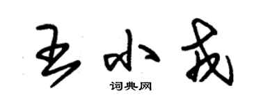 朱錫榮王小戎草書個性簽名怎么寫