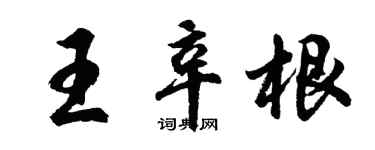 胡問遂王辛根行書個性簽名怎么寫