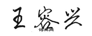 駱恆光王容興行書個性簽名怎么寫