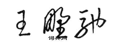 駱恆光王野馳草書個性簽名怎么寫