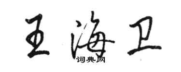 駱恆光王海衛行書個性簽名怎么寫