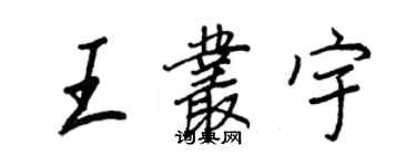 王正良王叢宇行書個性簽名怎么寫