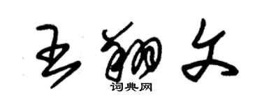 朱錫榮王翔文草書個性簽名怎么寫