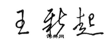 駱恆光王新起草書個性簽名怎么寫
