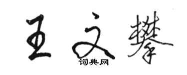 駱恆光王文攀行書個性簽名怎么寫