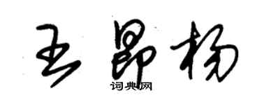 朱錫榮王昂楊草書個性簽名怎么寫