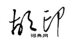 駱恆光胡印草書個性簽名怎么寫