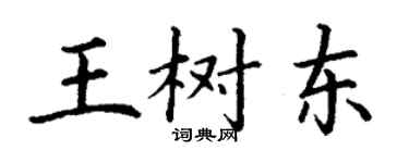 丁謙王樹東楷書個性簽名怎么寫