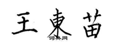 何伯昌王東苗楷書個性簽名怎么寫