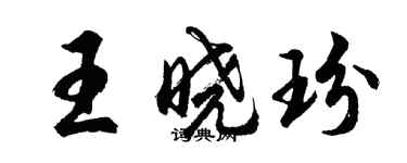 胡問遂王曉玢行書個性簽名怎么寫