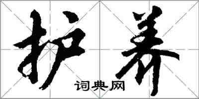 胡問遂護養行書怎么寫