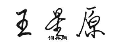 駱恆光王星原行書個性簽名怎么寫