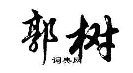 胡問遂郭樹行書個性簽名怎么寫