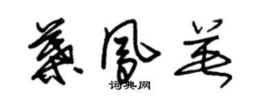 朱錫榮葉鳳英草書個性簽名怎么寫