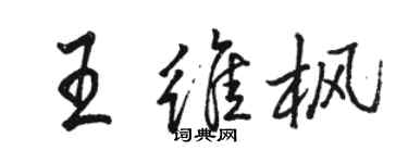 駱恆光王維楓行書個性簽名怎么寫
