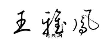 梁錦英王雅鳳草書個性簽名怎么寫