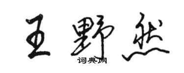 駱恆光王野然行書個性簽名怎么寫