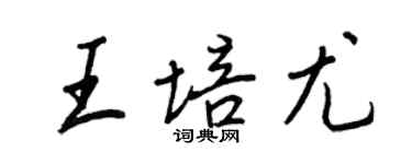 王正良王培尤行書個性簽名怎么寫