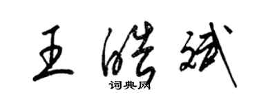 梁錦英王皓斌草書個性簽名怎么寫