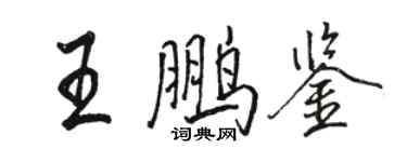 駱恆光王鵬鑒行書個性簽名怎么寫