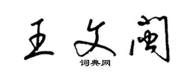 梁錦英王文閩草書個性簽名怎么寫