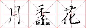 黃華生月季花楷書怎么寫