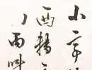 徐渭草書書法作品欣賞_徐渭草書字帖(第13頁)_書法字典