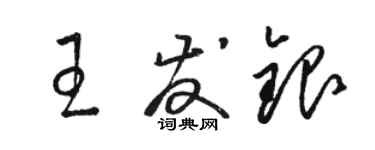 駱恆光王發銀草書個性簽名怎么寫