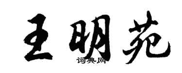 胡問遂王明苑行書個性簽名怎么寫