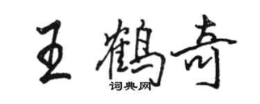 駱恆光王鶴奇行書個性簽名怎么寫