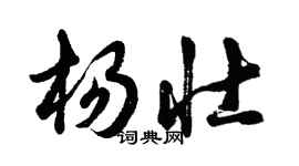 胡問遂楊壯行書個性簽名怎么寫