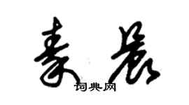 朱錫榮秦晨草書個性簽名怎么寫