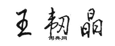 駱恆光王韌晶行書個性簽名怎么寫