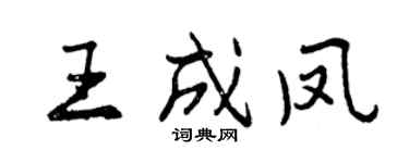 曾慶福王成鳳行書個性簽名怎么寫