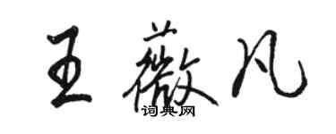 駱恆光王薇凡行書個性簽名怎么寫