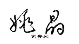 梁錦英姚晶草書個性簽名怎么寫