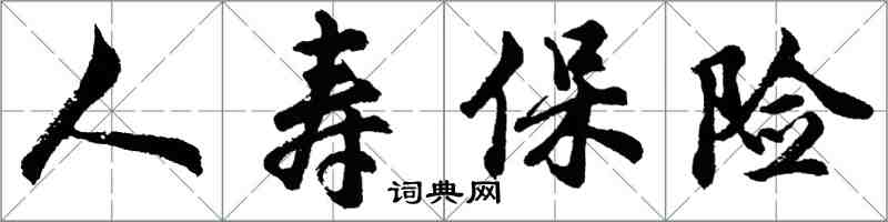 胡問遂人壽保險行書怎么寫