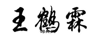 胡問遂王鶴霖行書個性簽名怎么寫