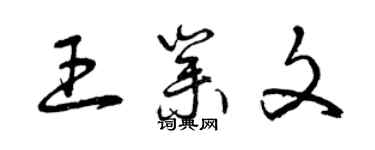 曾慶福王業文草書個性簽名怎么寫