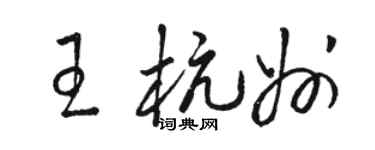 駱恆光王杭州草書個性簽名怎么寫