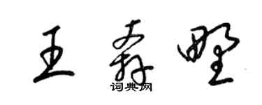 梁錦英王奔野草書個性簽名怎么寫