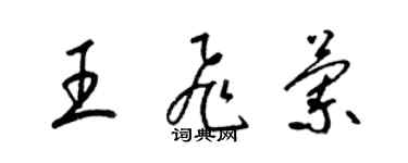 梁錦英王飛蘭草書個性簽名怎么寫