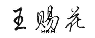 駱恆光王賜花行書個性簽名怎么寫