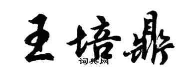 胡問遂王培鼎行書個性簽名怎么寫