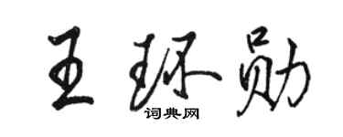 駱恆光王環勛行書個性簽名怎么寫