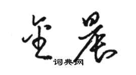 駱恆光金晨草書個性簽名怎么寫