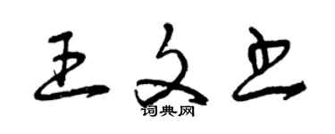 曾慶福王文書草書個性簽名怎么寫